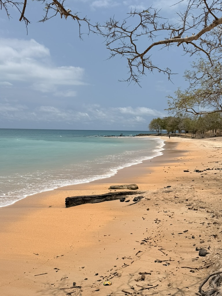 Rota do Cacau no norte de São Tomé
